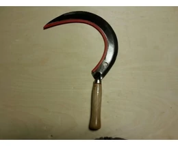 SARLÓ FANYÉLLEL 14