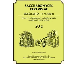 Saccharomyces cerevisiae