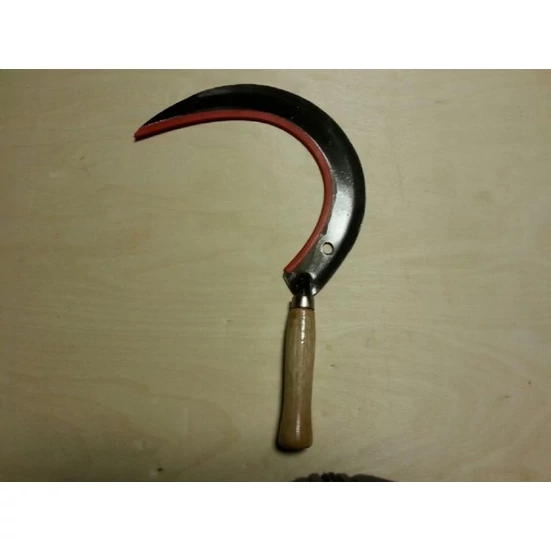 SARLÓ FANYÉLLEL 14