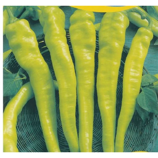Paprika Szentesi Zöld Kosszarvú