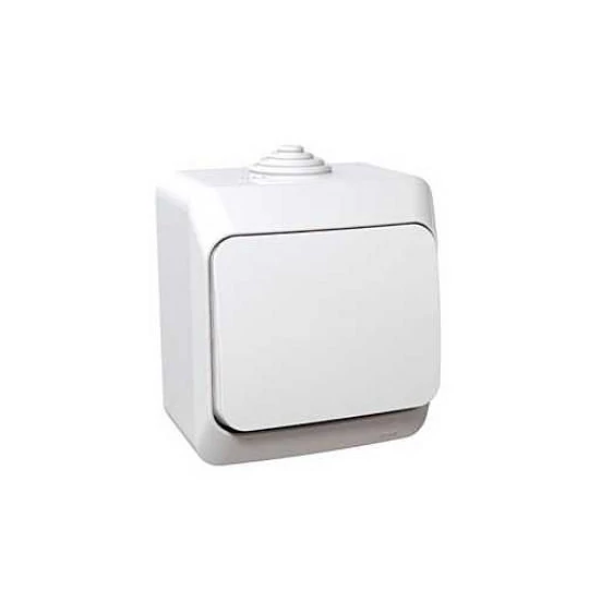 SCHNEIDER ELECTRIC CEDAR PLUS 101 EGYPÓLUSÚ KAPCSOLÓ IP44